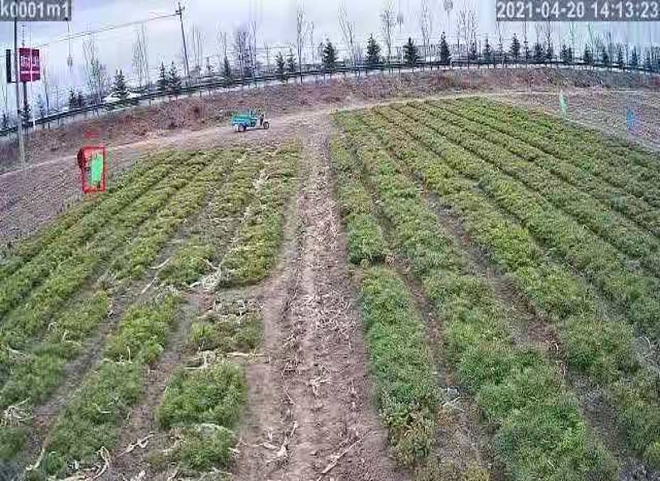 AI視頻監(jiān)控系統(tǒng) 苗圃基地監(jiān)控系統(tǒng) AI視頻監(jiān)控系統(tǒng) 苗圃基地監(jiān)控系統(tǒng)